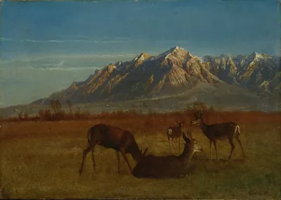 Deer In Mountain Home