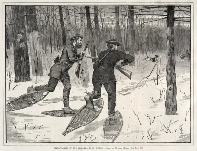 Deer Stalking In The Adirondacks In Winter