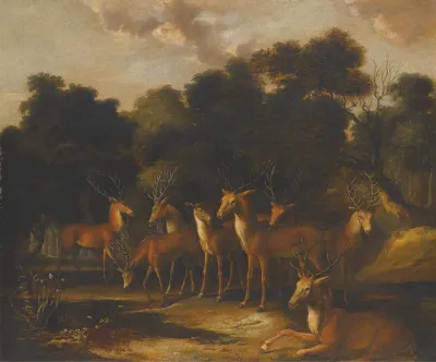 Deer Standing In A Clearing At A Waterhole