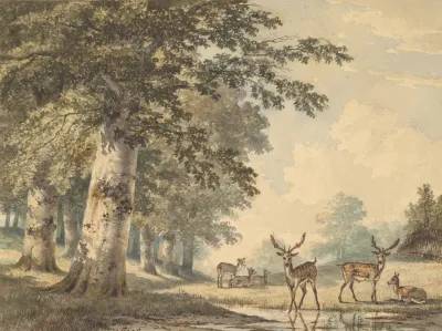 Deer Under Beech Trees In Winter