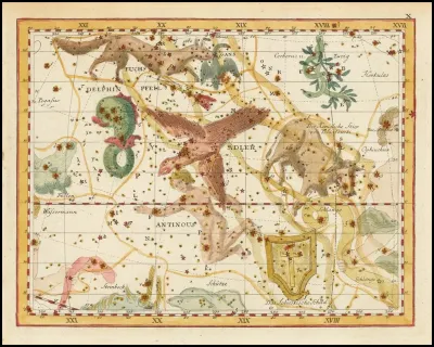 Delphin Fuchs Pfeil Gans Adler Antinous Das Sobieskische Schild And Der Konigliche Stier Von Poniatowski