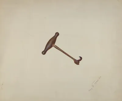 Dental Forceps