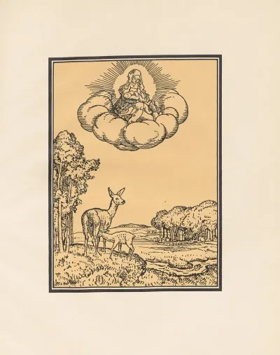 Der Struwwelpeter Von Heute Pl 09