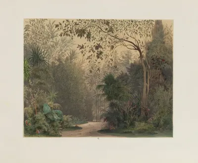 Der Wintergarten In Der Kaiserlichen Koniglichen Hofburg Zu Wien Pl 06
