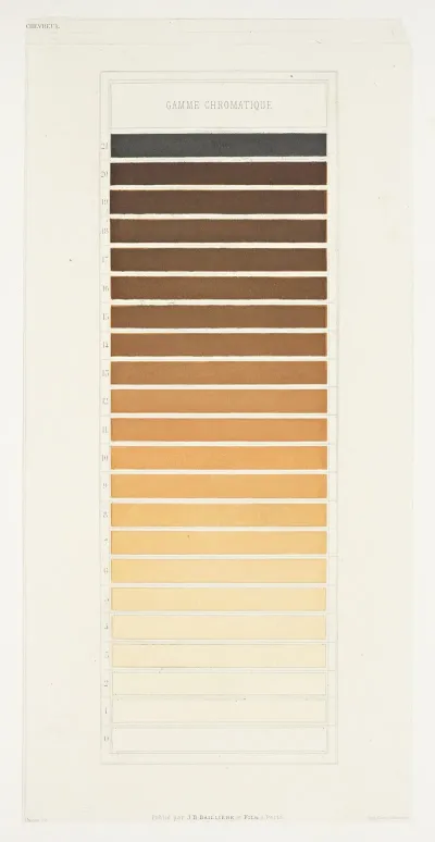 Des Couleurs Et De Leurs Applications Aux Arts Industriels A Laide Des Cercles Chromatiques Pl 18