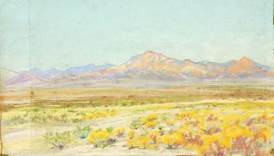 Desert Landscape 69