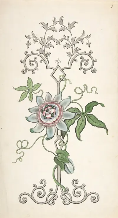 Design For Panel Decoration Centered On A Passion Flower