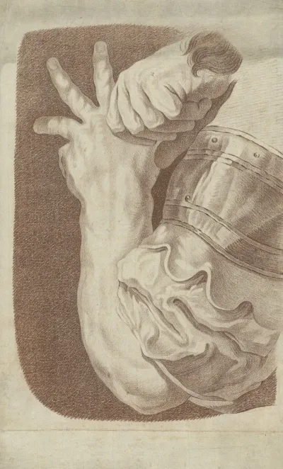 Detail Of An Arm
