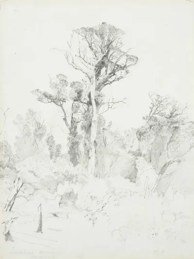 Detribalised Natives Taranaki