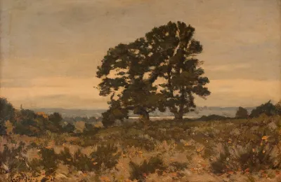 Deux Arbres En Lisiere De Foret