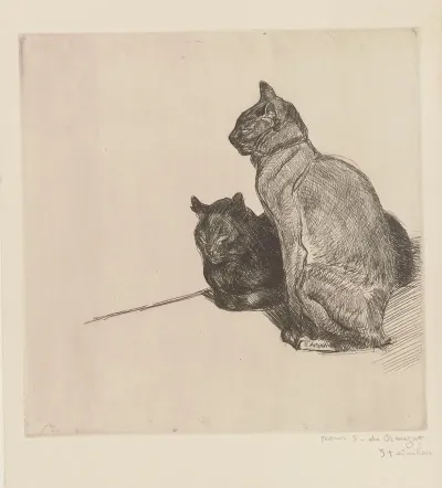 Deux Chats Au Repos