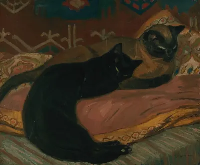 Deux Chats Couches Sur Un Canape