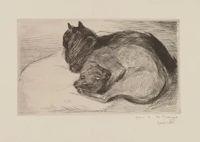 Deux Chats Endormis