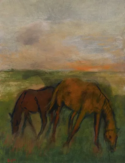 Deux Chevaux Au Paturage