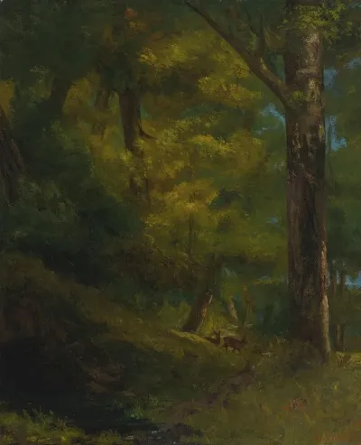 Deux Chevreuils Dans La Foret