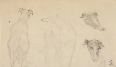 Deux Esquisses De Chiens Et Deux Croquis De Tete De Chien