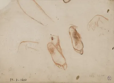 Deux Etudes De Pieds Et De Main