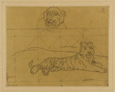 Deux Etudes De Tigres