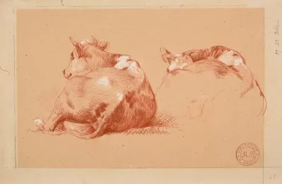 Deux Etudes De Vache Couchee