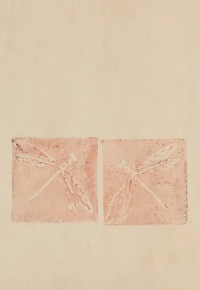 Deux Libellules Essai Pour Libellules Et Tetards Carrelage