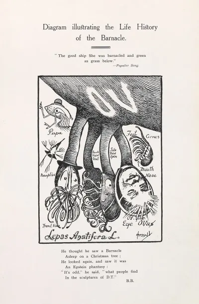 Diagram Illustrating The Life History Of The Barnacle