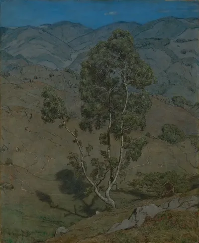 Die Birke