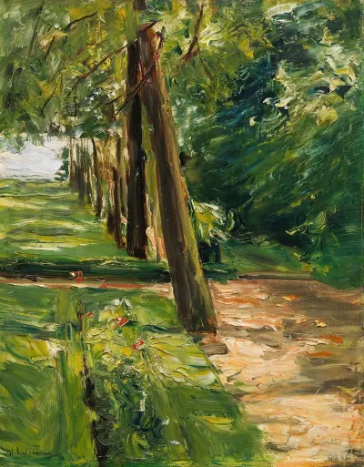 Die Birkenallee Im Wannseegarten Nach Osten Wohl
