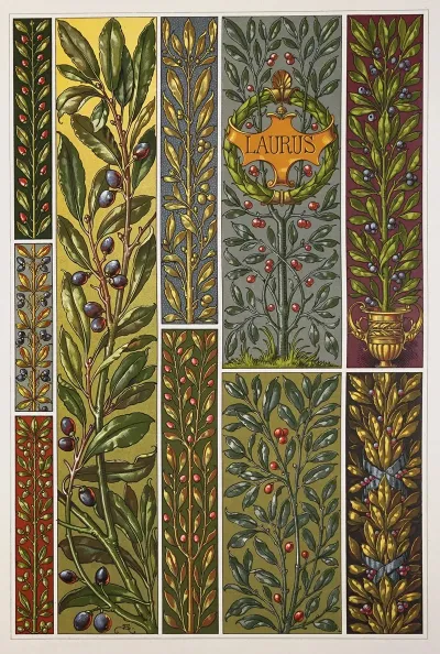 Die Pflanze In Kunst Und Gewerbe Pl 051