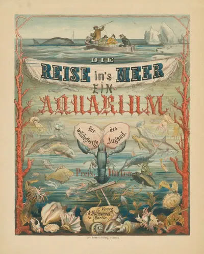 Die Reise Ins Meer Ein Aquarium