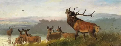 Die Rivalen