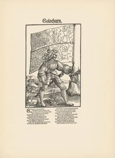 Die Standarten Der Schweizer Kantone Pl 08