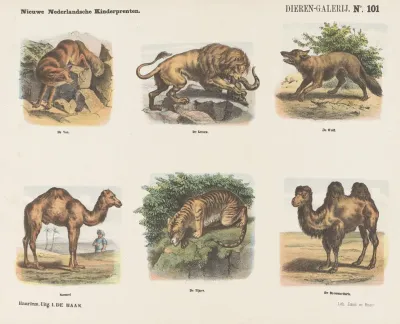 Dieren Galerij