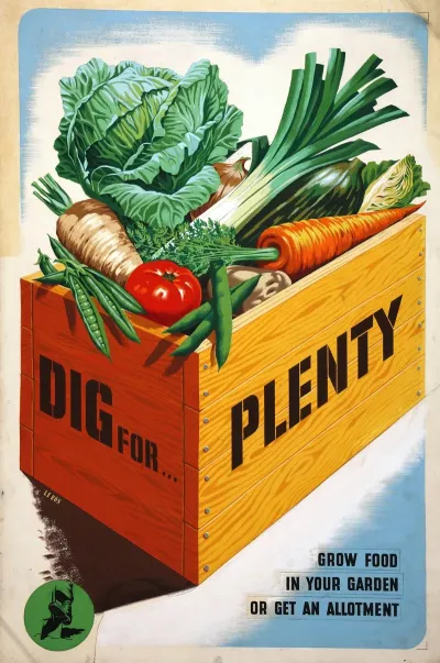 Dig For Plenty Grow Food In Your Garden Or Get An Allotment 2