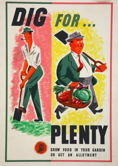 Dig For Plenty Grow Food In Your Garden Or Get An Allotment