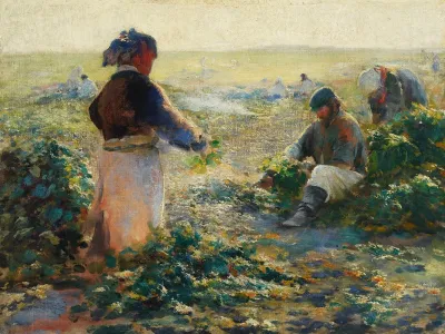Digging Beets I