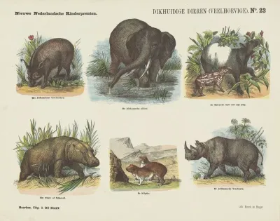 Dikhuidige Dieren Veelhoevige