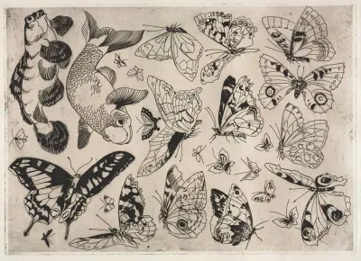 Dinner Service Rousseau Service Butterflies And Fish No 16