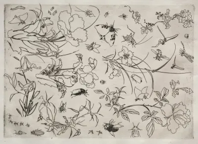 Dinner Service Rousseau Service Flowers And Insects No 15