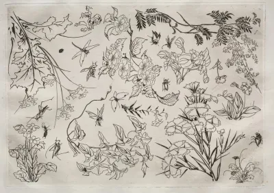 Dinner Service Rousseau Service Flowers No 22