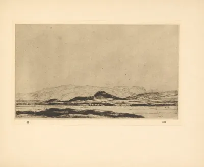 Dinnet Moor