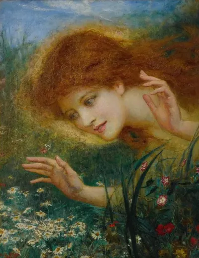 Discovering Daisies