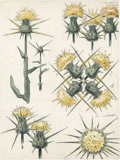 Distel 2de Soort 7