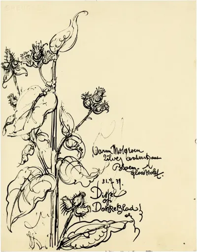 Distel 2de Soort