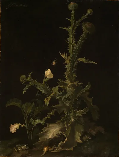 Distel Mit Verschiedenen Tieren
