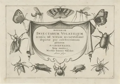 Diversae Insectarum Volatilium Pl 01