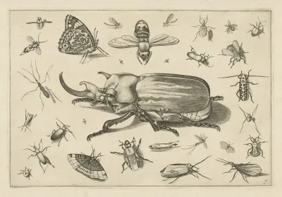 Diversae Insectarum Volatilium Pl 07