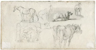 Diverse Dieren