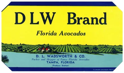 Dlw Brand Florida Avocados Label