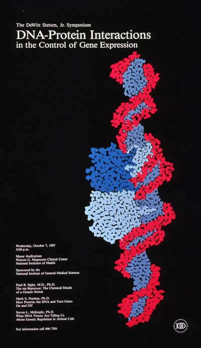 Dna Protein Interactions In The Control Of Gene Expression