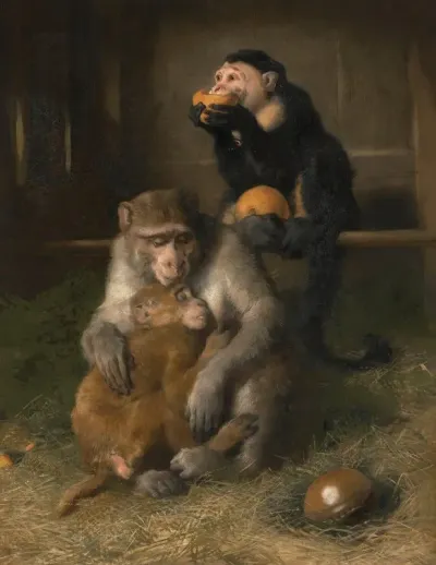 Doctors Visit To Poor Relations At The Zoological Gardens